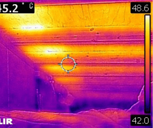 サーモグラフィー検査