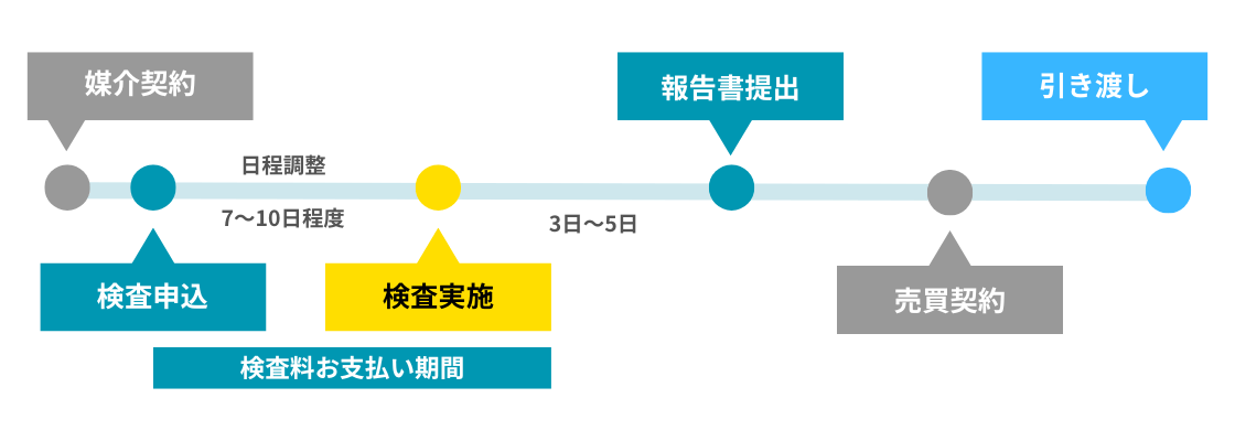 状況調査スケジュール